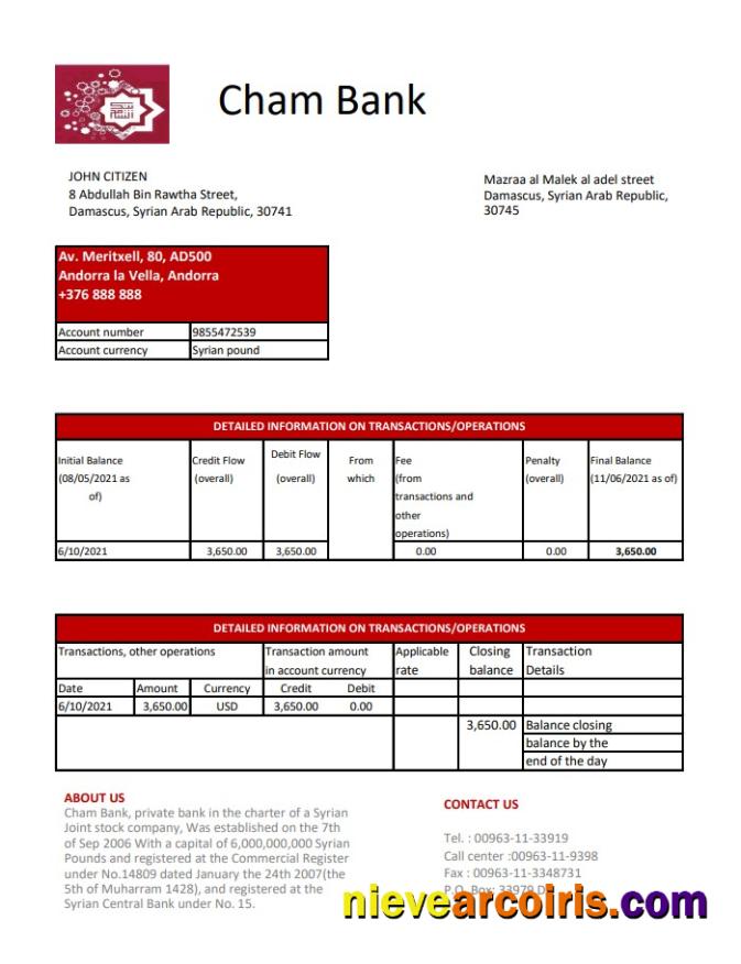 Syria Cham Bank excel pdf
